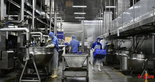 創(chuàng)新市場開拓新賽道 食品企業(yè)與電氣安裝服務的跨界融合